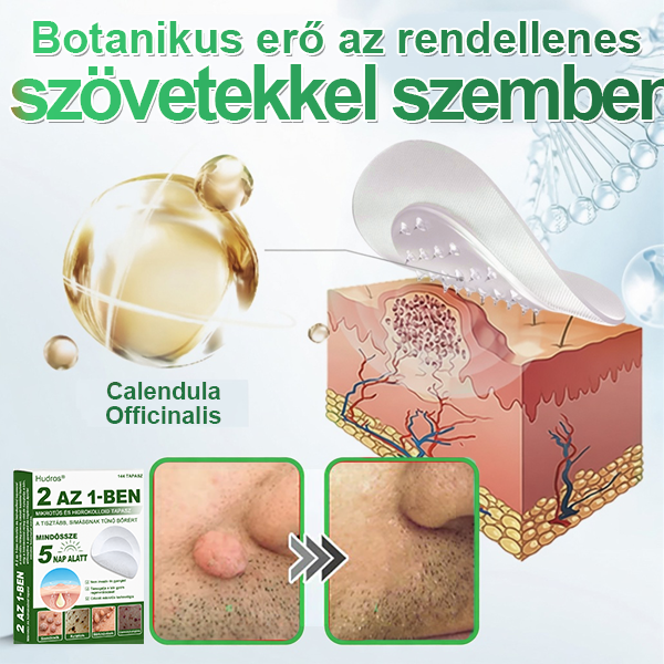 🌞Hudros® 2-az-1-ben Mikrotű & Hidrokoloid Tapasz 🇭🇺|👍Kiemelkedő Anyajegyek, Pattanások, Lapos Szemölcsök & Bőrkinövések Eltávolítója | Ráncok, Hegek & Bőrhibák Javítása | Láthatatlan Csillag Pattanástapasz Arcra & Testre | 144 db
