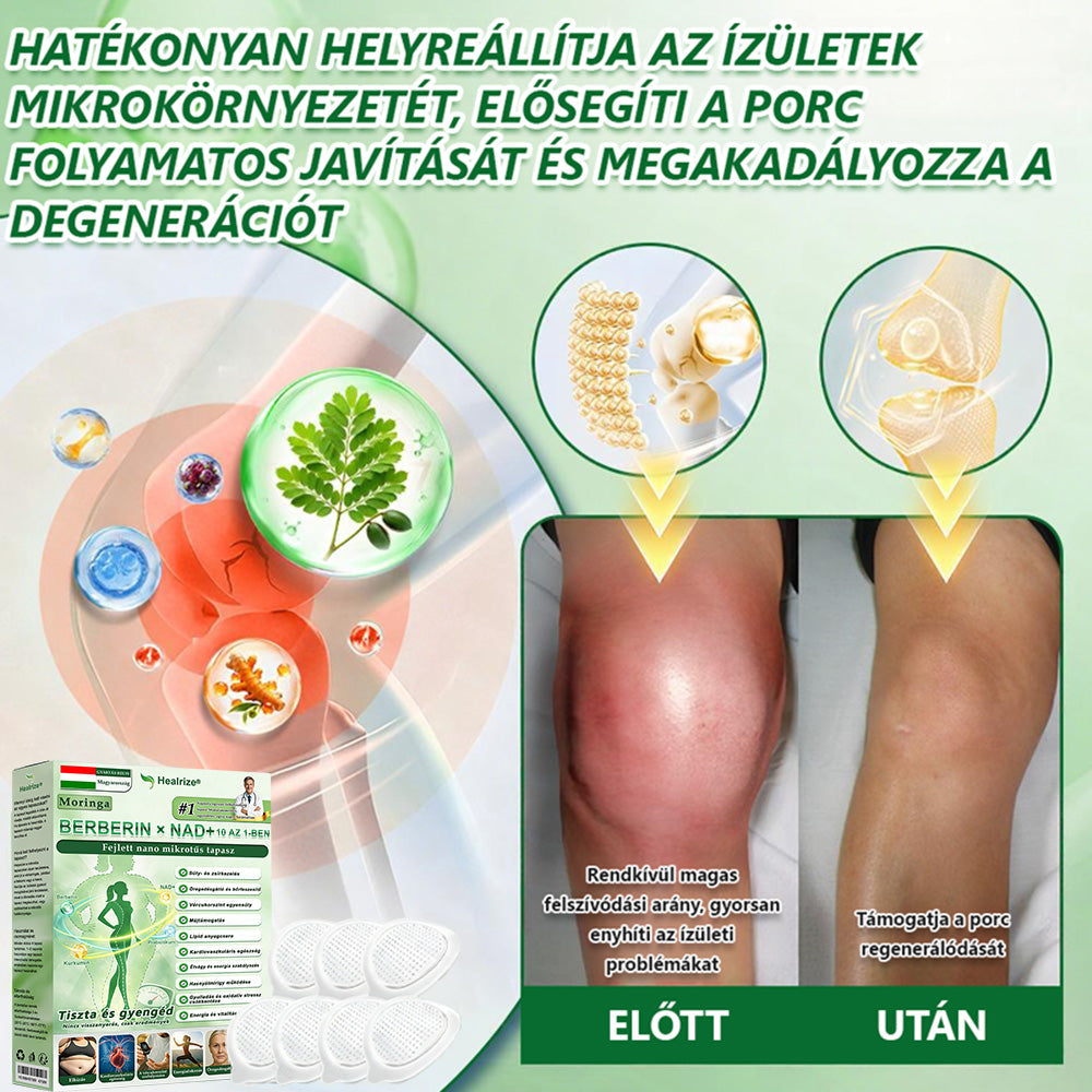 🇭🇺Hivatalos Webáruház | 🥠Healrize® Moringa–Berberin és NAD+ 10 az 1-ben Fejlett Nano Mikrotűs Tapasz  🍟 Napi egy alkalmazás · Látható változások akár 7 napon belül