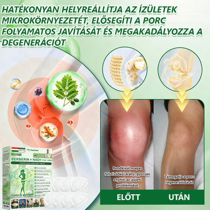 🇭🇺Hivatalos Webáruház | 🥠Healrize® Moringa–Berberin és NAD+ 10 az 1-ben Fejlett Nano Mikrotűs Tapasz  🍟 Napi egy alkalmazás · Látható változások akár 7 napon belül