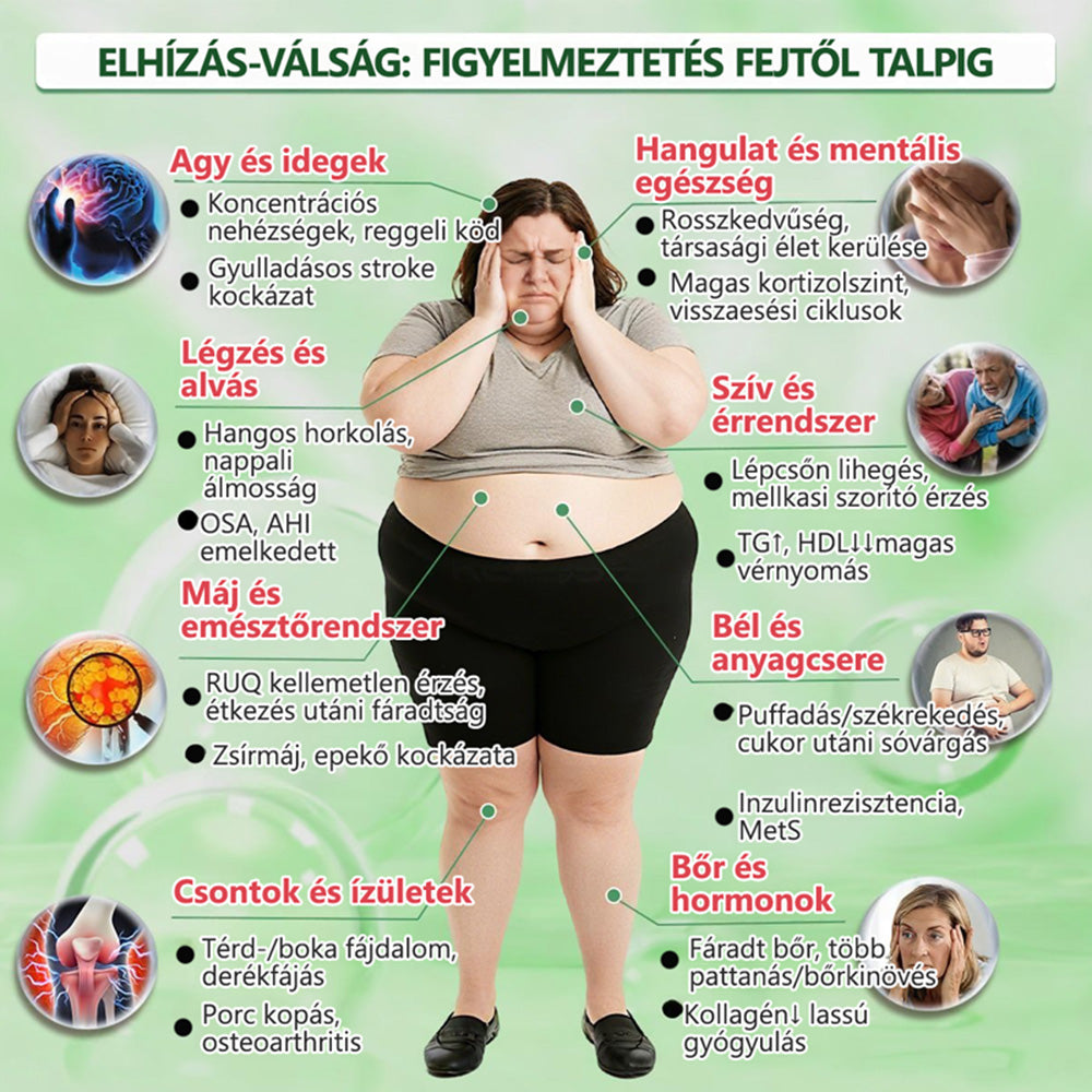 🇭🇺Hivatalos Webáruház | 🥠Healrize® Moringa–Berberin és NAD+ 10 az 1-ben Fejlett Nano Mikrotűs Tapasz  🍟 Napi egy alkalmazás · Látható változások akár 7 napon belül