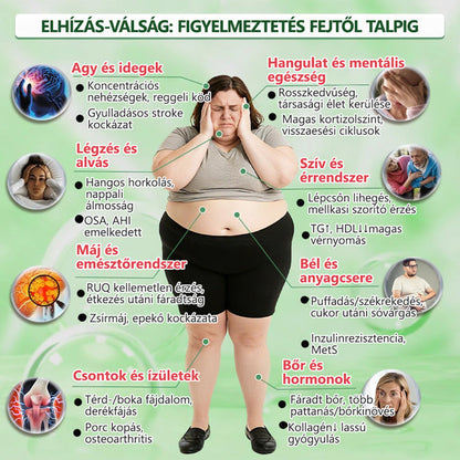 🇭🇺Hivatalos Webáruház | 🥠Healrize® Moringa–Berberin és NAD+ 10 az 1-ben Fejlett Nano Mikrotűs Tapasz  🍟 Napi egy alkalmazás · Látható változások akár 7 napon belül