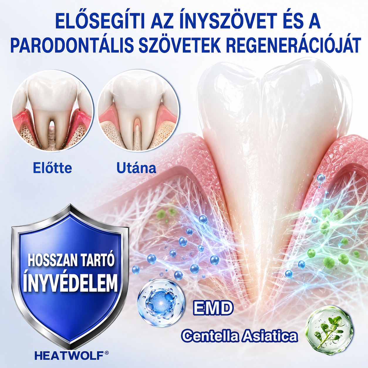 🚩 HEATWOLF® 🦷🥏GumRevive – Parodontális helyreállító gél👈